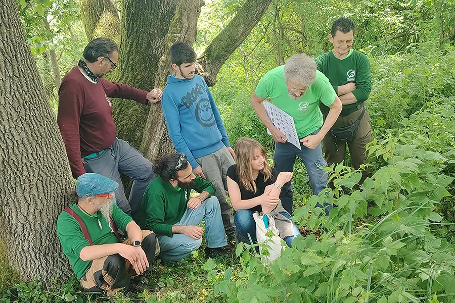 Equipe del verde che osserva la natura
